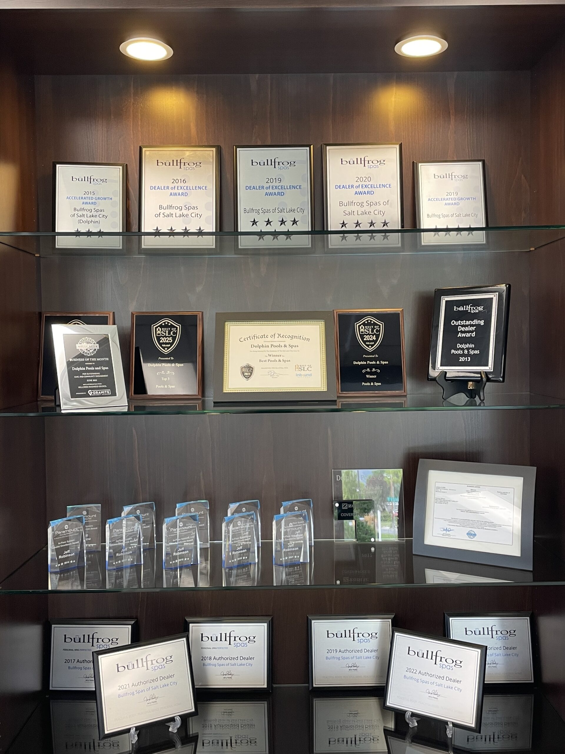 Dolphin pools and spas award winning scaled